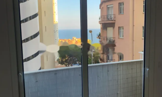 Недвижимость Apartment Monaco, Jardin Exotique: 4