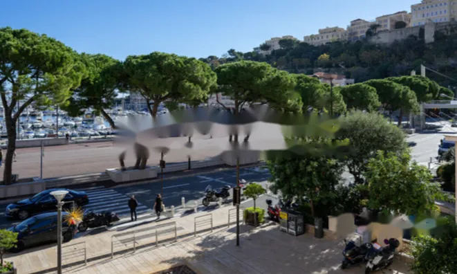 Недвижимость Apartment Monaco, Port: 10