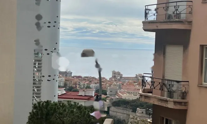 Недвижимость Apartment Monaco, Jardin Exotique: 2