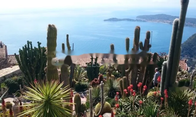 Недвижимость Apartment Monaco, Jardin Exotique: 1