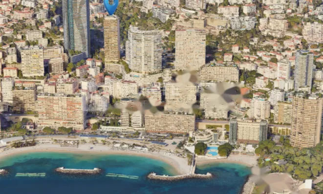 Недвижимость Apartment Monaco, La Rousse: 3