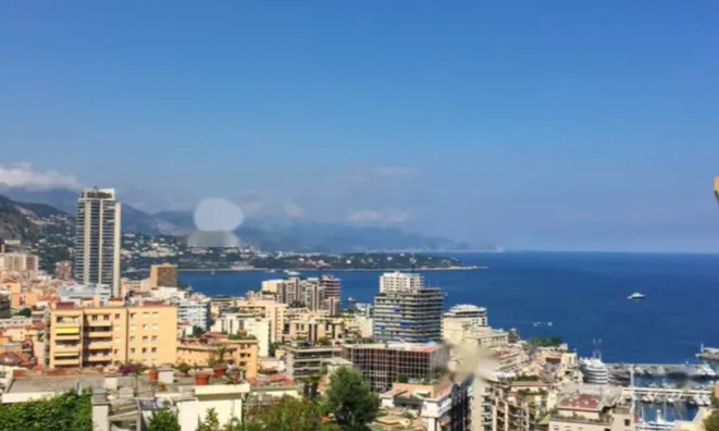 Недвижимость Apartment Monaco, Jardin Exotique: 1