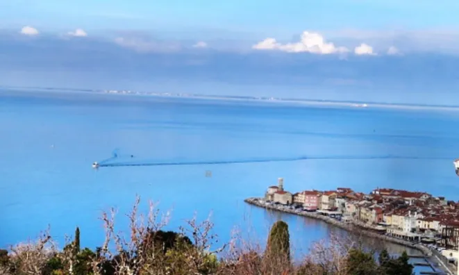 Недвижимость Дом в Пиране: 1