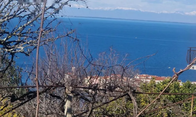 Недвижимость Дом в Пиране: 3