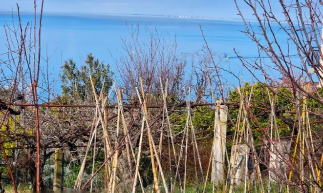 Недвижимость Дом в Пиране: 4