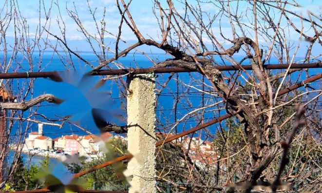 Недвижимость Дом в Пиране: 6