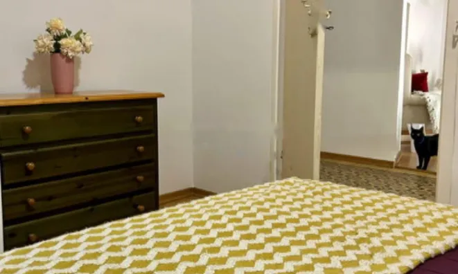 Недвижимость Квартира, 5+ комнат, Центр: 7