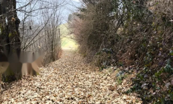Недвижимость Дом, Велики-Врх-при-Литии: 3