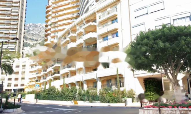 Недвижимость Apartment Monaco, La Rousse: 7