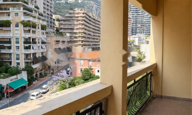 Недвижимость Apartment Monaco, La Rousse: 6