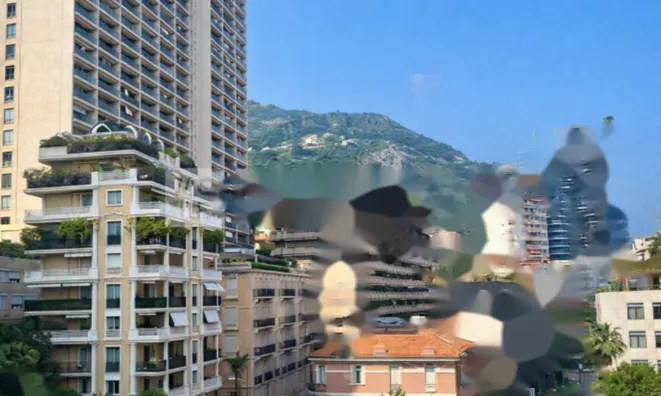 Недвижимость Apartment Monaco, La Rousse: 8