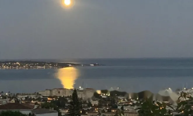 Недвижимость Maison Cannes: 19