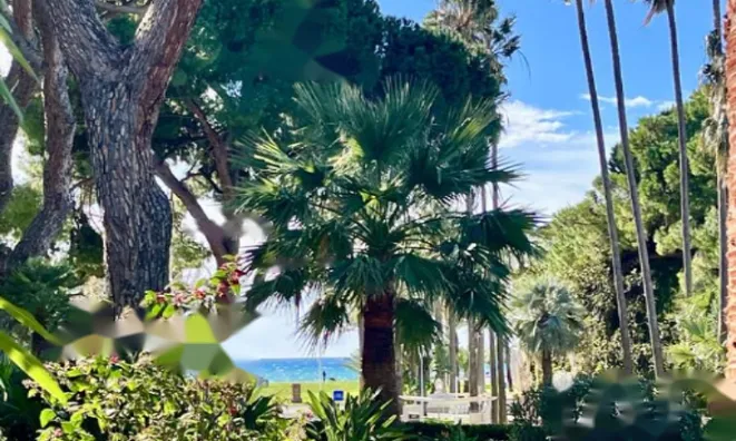 Недвижимость Apartment Pointe Croisette: 7