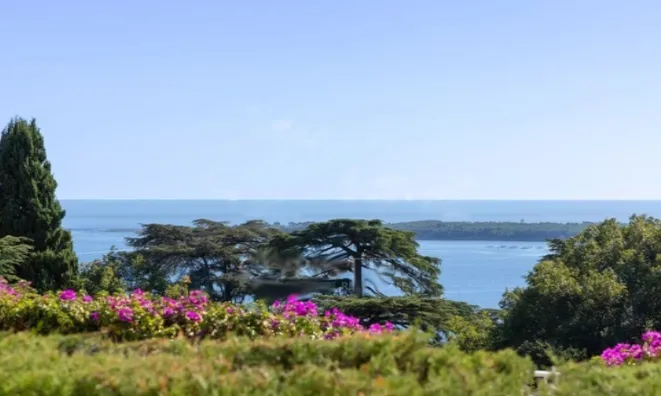 Недвижимость Apartment Cannes California: 1