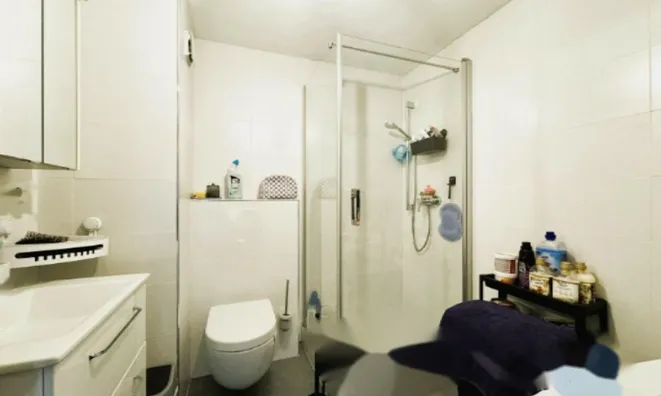 Недвижимость Apartment 4 bedrooms for sale in Reuler: 7