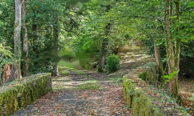 Недвижимость House for sale in Stolzembourg: 3