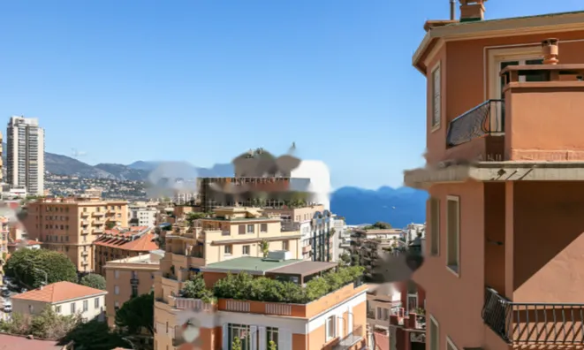 Недвижимость Apartment Monaco, Moneghetti: 12