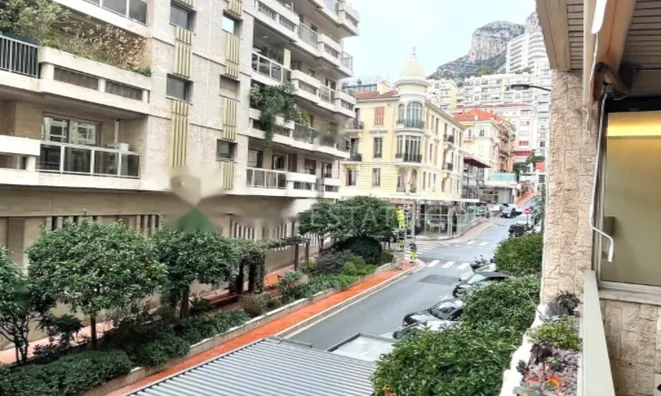 Недвижимость Apartment Monaco, Condamine: 14