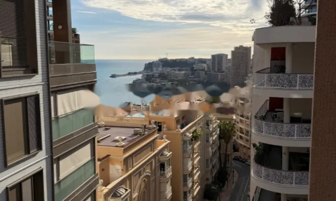 Недвижимость Apartment Monaco, La Rousse: 3