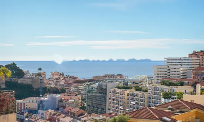 Недвижимость Apartment Monaco, Moneghetti: 13