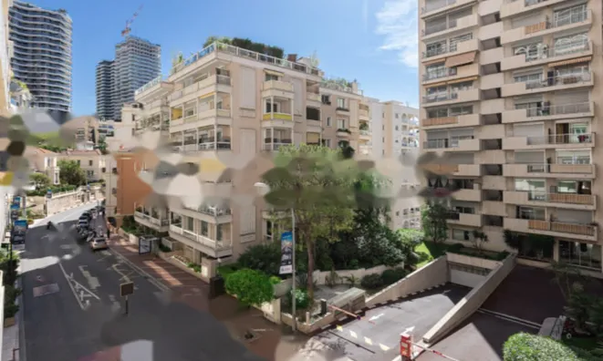 Недвижимость Apartment Monaco, La Rousse: 3