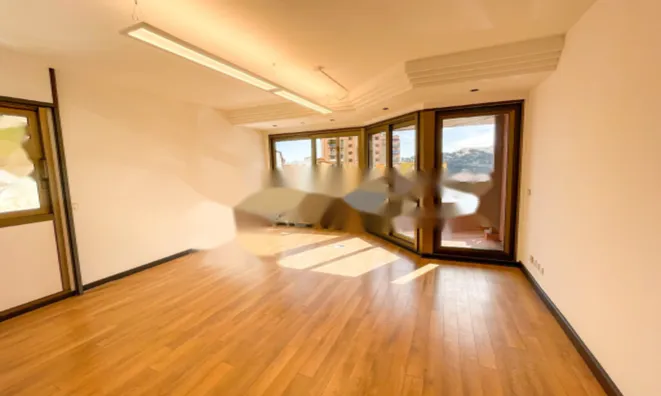 Недвижимость Apartment Monaco, Condamine: 1