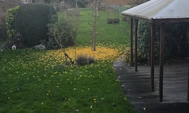 Недвижимость Semi-detached house 4 bedrooms for sale in Bertrange: 6