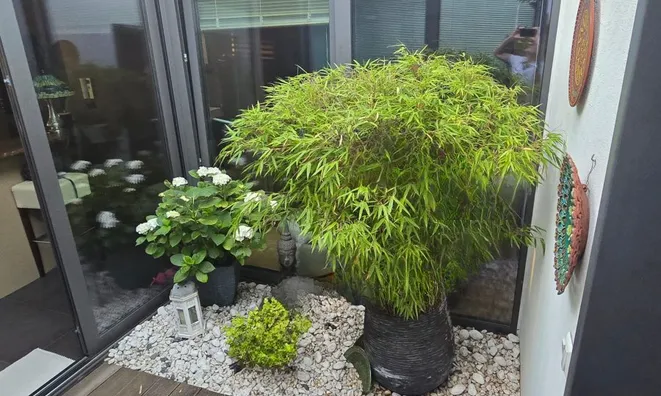 Недвижимость Penthouse 2 bedrooms for sale in Esch-sur-Alzette: 1