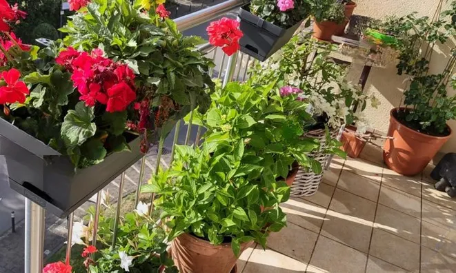 Недвижимость Apartment 3 bedrooms for sale in Strassen: 2