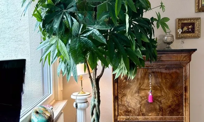 Недвижимость Apartment 2 bedrooms for sale in Luxembourg-Belair: 2