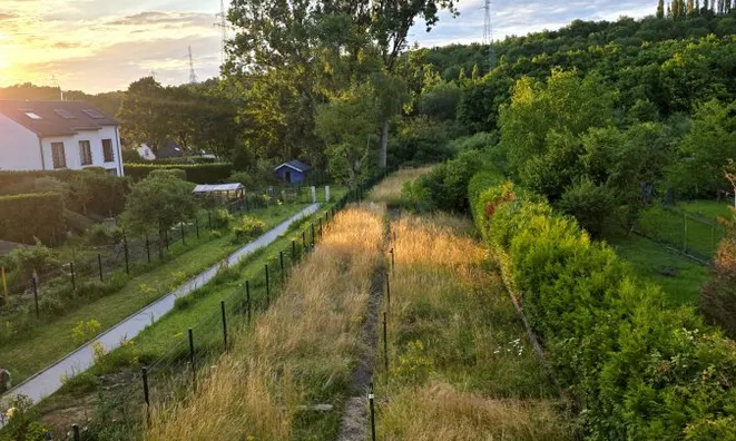 Недвижимость Semi-detached house 6 bedrooms for sale in Soleuvre: 1