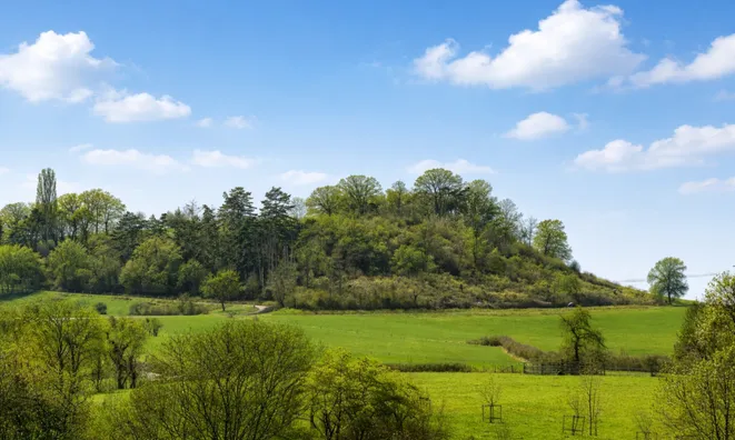 Недвижимость House 3 bedrooms for sale in Eppeldorf: 2