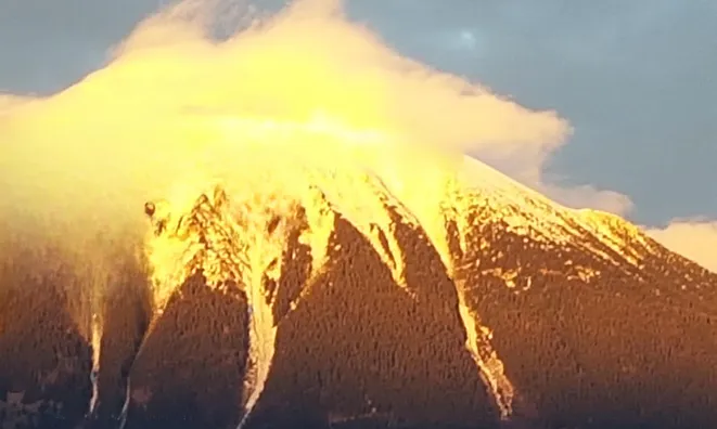 Недвижимость Дом, Блед: 12