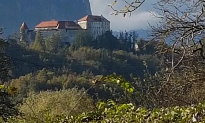 Недвижимость Дом, Блед: 13