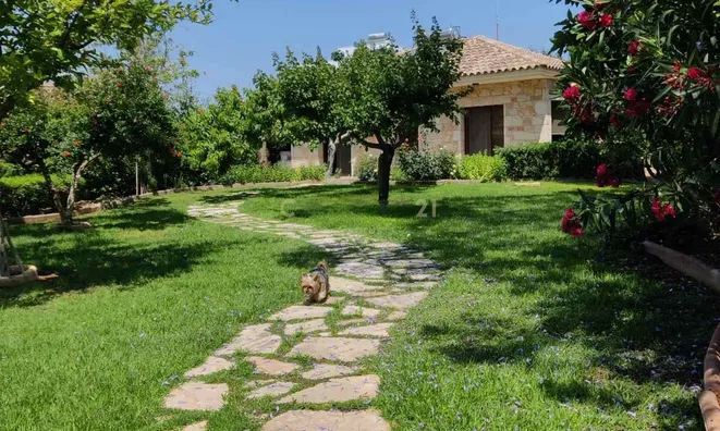 Недвижимость 5 Bedroom Villa For Sale in Ypsonas , Limassol.: 5