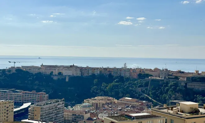 Недвижимость Apartment Monaco, Moneghetti: 2