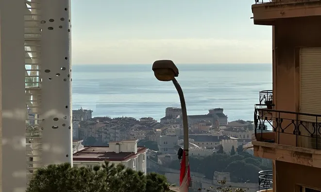 Недвижимость Apartment Monaco, Jardin Exotique: 4