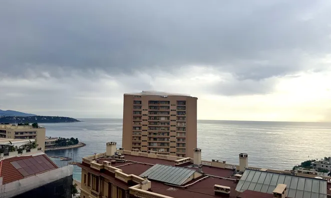 Недвижимость Apartment Monaco, Monte-Carlo: 4