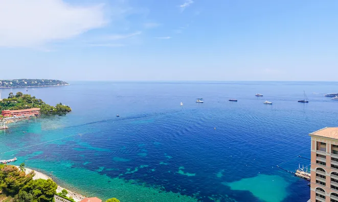 Недвижимость Apartment Monaco, La Rousse: 5