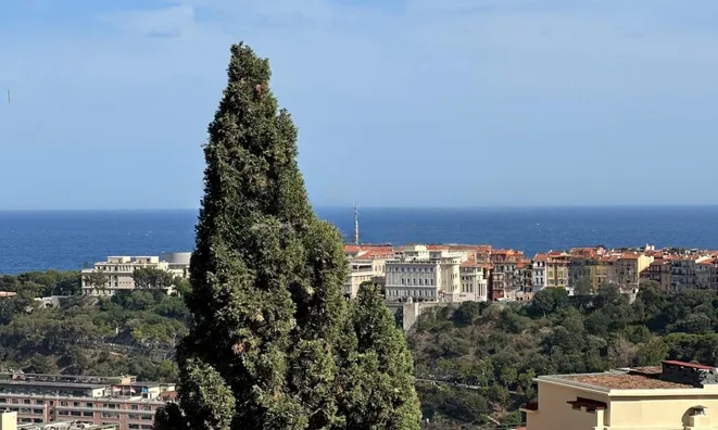 Недвижимость Apartment Monaco, Moneghetti: 9