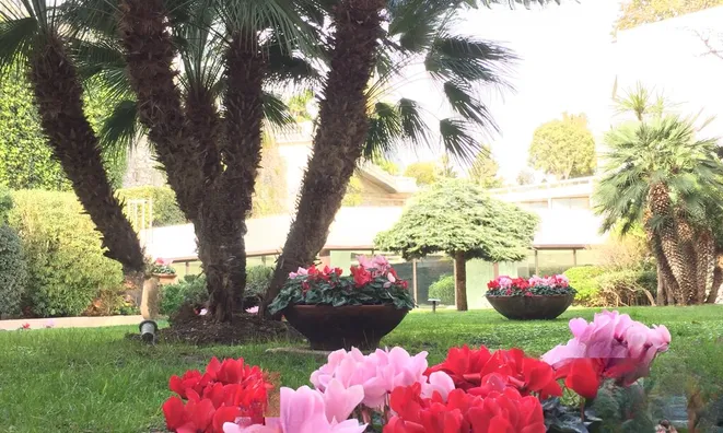 Недвижимость Apartment Monaco, Carre D'Or: 9