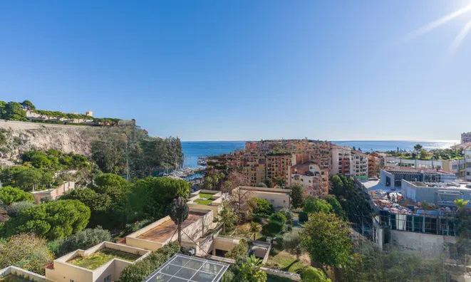 Недвижимость Apartment Monaco, Fontvieille: 5