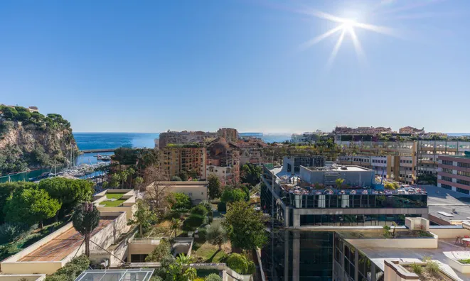 Недвижимость Apartment Monaco, Fontvieille: 13