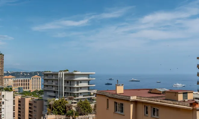 Недвижимость Apartment Monaco, La Rousse: 1