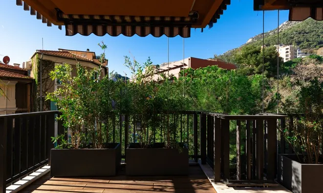 Недвижимость Apartment Monaco, La Rousse: 9