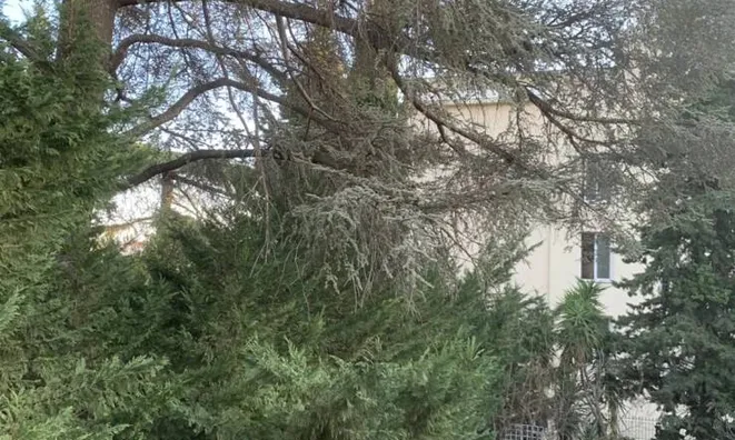 Недвижимость Apartment Cannes: 6