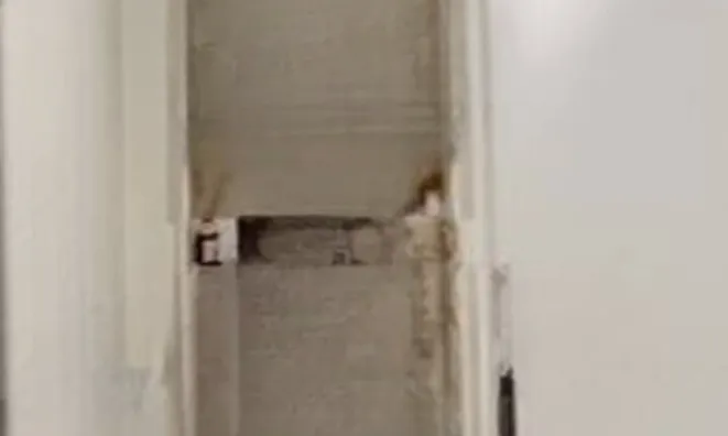 Недвижимость Apartment Cannes: 11