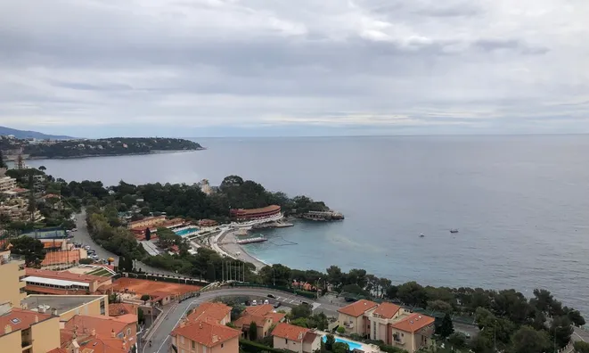 Недвижимость Apartment Monaco, Saint Roman: 19