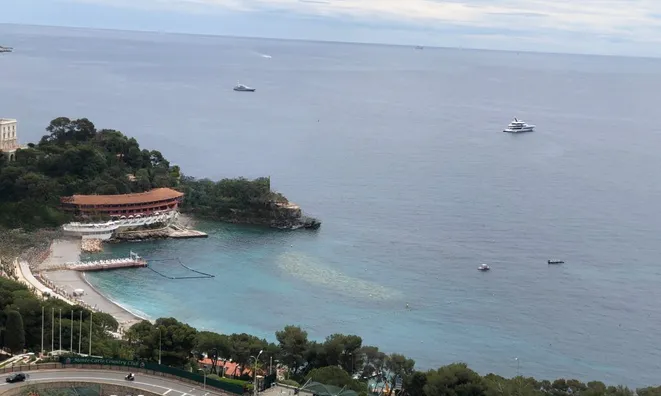 Недвижимость Apartment Monaco, Saint Roman: 20