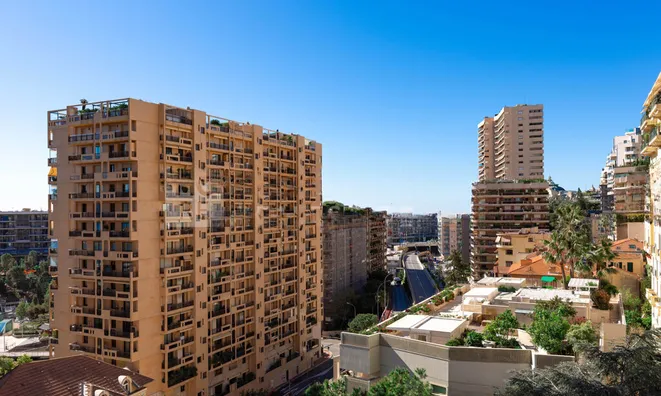 Недвижимость Apartment Monaco, Monte-Carlo: 9